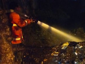 Api Berkobar di Cargo Denpasar, Ternyata Tumpukan Sampah Terbakar