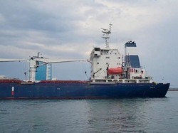 Akhirnya! Gandum Ukraina Bisa Diekspor demi Cegah Kelaparan Dunia