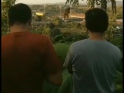 Tak Dapat Tiket, Warga Parepare Nonton PSM Bertanding di Atas Bukit