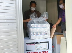 Bulan Imunisasi Anak 2022, Bali Target 34.146 Siswa SD Divaksin HPV