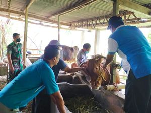 Banyuwangi Genjot Vaksinasi Tahap II-Perluas Vaksin Hewan Ternak