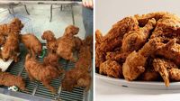 Jangan Terkecoh! 10 Makanan Ini Punya Bentuk Seperti Burung hingga Buah