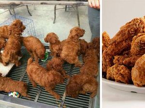 Jangan Terkecoh! 10 Makanan Ini Punya Bentuk Seperti Burung hingga Buah