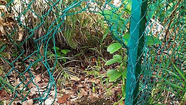 Kerja Keras BNPP Minimalisir Jalur Penyelundupan di Entikong