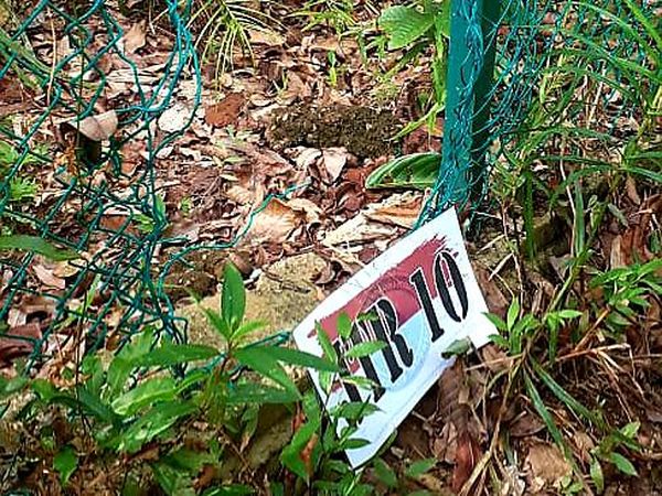 Kerja Keras BNPP Minimalisir Jalur Penyelundupan di Entikong
