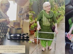 Mulia! Nenek Berusia 90 Tahun Ini Masak untuk 120 Anjing Liar Setiap Hari