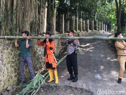 Jadi Tempat Mesum hingga Tawuran Pelajar, Taman Sugema Ditutup!