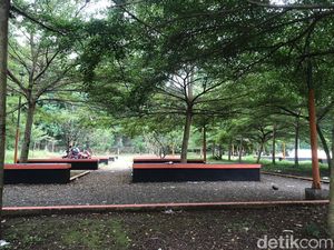 Taman Sugema Sukabumi Ditutup, Warga Sering Temukan Kondom Taman Sugema Sukabumi Ditutup, Warga Sering Temukan Kondom