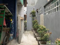 Akses Rumah Ditembok Tetangganya, Anak Khawatir Bila Ibunda Jatuh Sakit