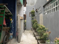 Akses Rumah Ditembok Tetangganya, Anak Khawatir Bila Ibunda Jatuh Sakit