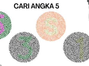 Tes Buta Warna Pakai Soal Super Gampang, Tak Butuh 5 Menit untuk Jawab Semua Tes Buta Warna Pakai Soal Super Gampang, Tak Butuh 5 Menit untuk Jawab Semua