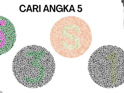 Tes Buta Warna Pakai Soal Super Gampang, Tak Butuh 5 Menit untuk Jawab Semua