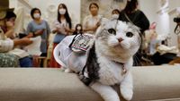 Tokyo Panas Banget, Hewan Kesayangan Sampai Pakai Baju Kipas Angin
