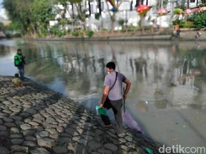 Penyebab Mabuknya Ikan di Kalimas gegara Perbaikan Dam Gubeng Penyebab Mabuknya Ikan di Kalimas gegara Perbaikan Dam Gubeng