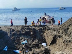 Bingungnya Evakuasi Bangkai Paus Sperma di Banyuwangi yang Mulai Membusuk