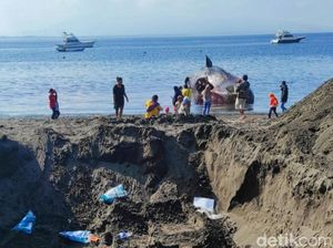 Bingungnya Evakuasi Bangkai Paus Sperma di Banyuwangi yang Mulai Membusuk Bingungnya Evakuasi Bangkai Paus Sperma di Banyuwangi yang Mulai Membusuk