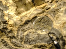 Warga Desa Huu Ingin Kerja di Tambang 2 Miliar Ton Emas