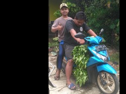 Pemuda Tasikmalaya Tanam Kangkung Demi Peringati HUT RI