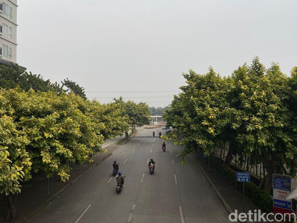 7 September Diperingati Hari Udara Bersih Internasional, Kurangi Polusi Udara 7 September Diperingati Hari Udara Bersih Internasional, Kurangi Polusi Udara