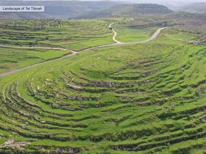 Israel Gali Situs Arkeologi Diduga Tempat Makam Nabi Israel Gali Situs Arkeologi Diduga Tempat Makam Nabi