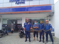Damkar Evakuasi Ular Sanca 3 Meter di Gorong-gorong Depan Apotek Depok