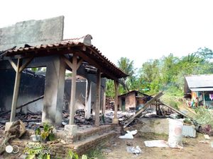 Mencekam Dusun di Jember Diserang OTK, Rumah-Kendaraan Dibakar Mencekam Dusun di Jember Diserang OTK, Rumah-Kendaraan Dibakar