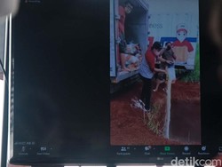 Momen JNE Tunjukan Video Pembuangan Beras Bansos di Depok