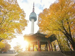 Pertukaran Guru ke Korea Dibuka Kemendikdasmen, Dapat Tunjangan dan Tempat Tinggal