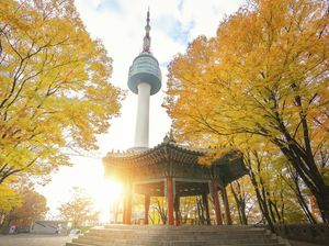 Pertukaran Guru ke Korea Dibuka Kemendikdasmen, Dapat Tunjangan dan Tempat Tinggal Pertukaran Guru ke Korea Dibuka Kemendikdasmen, Dapat Tunjangan dan Tempat Tinggal