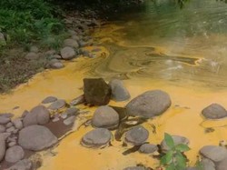 Tumpahan Minyak Mentah Cemari Sungai di Bengkulu Utara, Ada Bau Busuk