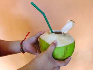 Ini 5 Manfaat yang Didapatkan Jika Rutin Minum Air Kelapa