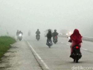 Prakiraan Cuaca Pekanbaru 24 Agustus: Kabut di Pagi Hari Prakiraan Cuaca Pekanbaru 24 Agustus: Kabut di Pagi Hari