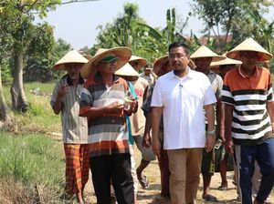 Wakil DPRD Jatim Minta Dinas Pertanian Siapkan Antisipasi Gagal Panen