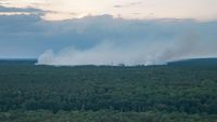 Kebakaran Hutan Ini Sulit Dipadamkan Karena Simpan Amunisi PD II