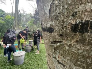 Aksi Menjaga Lingkungan dan Kurangi Sampah Lewat Kompos Kolektif