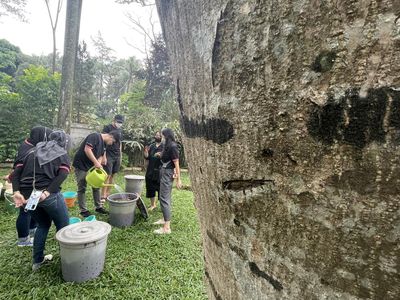 Aksi Menjaga Lingkungan dan Kurangi Sampah Lewat Kompos Kolektif