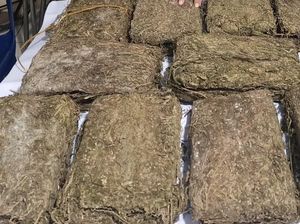 Polisi Tangkap 2 Pria Terlibat Narkoba di Dairi, 1 Orang Buron