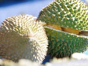 5 Tempat Makan Durian di Pekanbaru yang Wajib Dikunjungi