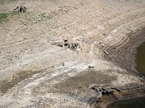 Kondisi Inggris yang Makin Coklat dan Kering Imbas Gelombang Panas
