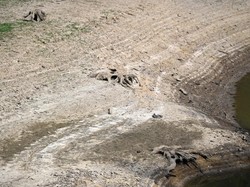 Kondisi Inggris yang Makin Coklat dan Kering Imbas Gelombang Panas