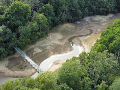 Gelombang Panas Bikin Waduk Ardingly Inggris Mengering, Nih Fotonya