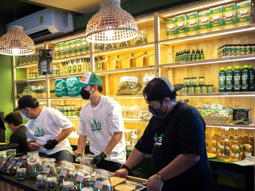 Kafe Ganja di Bangkok Ramai Pengunjung, Pertanda Sip untuk Wisata Thailand Kafe Ganja di Bangkok Ramai Pengunjung, Pertanda Sip untuk Wisata Thailand