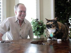 Mungkin Inilah Kucing Super, Bisa Gagalkan Perampokan Rumah Mungkin Inilah Kucing Super, Bisa Gagalkan Perampokan Rumah