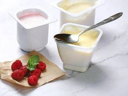 Ini 5 Makanan yang Wajib Jadi Stok di Kulkas Saat Diet