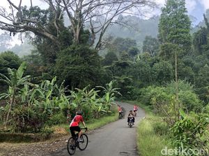 Menyusuri Jalur Syahdu di Puncak Dua, Bogor