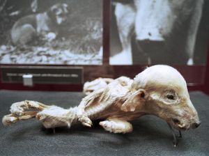 5 Bencana Alam Terburuk Akibat Ulah Manusia