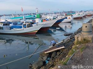 Nelayan di Bone Kesulitan Dapat Solar, Sudah Sepekan Tak Melaut Nelayan di Bone Kesulitan Dapat Solar, Sudah Sepekan Tak Melaut