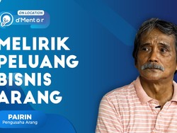 Peluang Besar Bisnis Arang Batok Kelapa