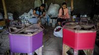 Begini Cara Benang Gelasan Diproduksi, Menggeliat ke Titik Normal