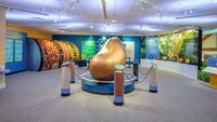 Jalan-jalan Yuk! Ini Potret Museum Baked Beans yang Seru